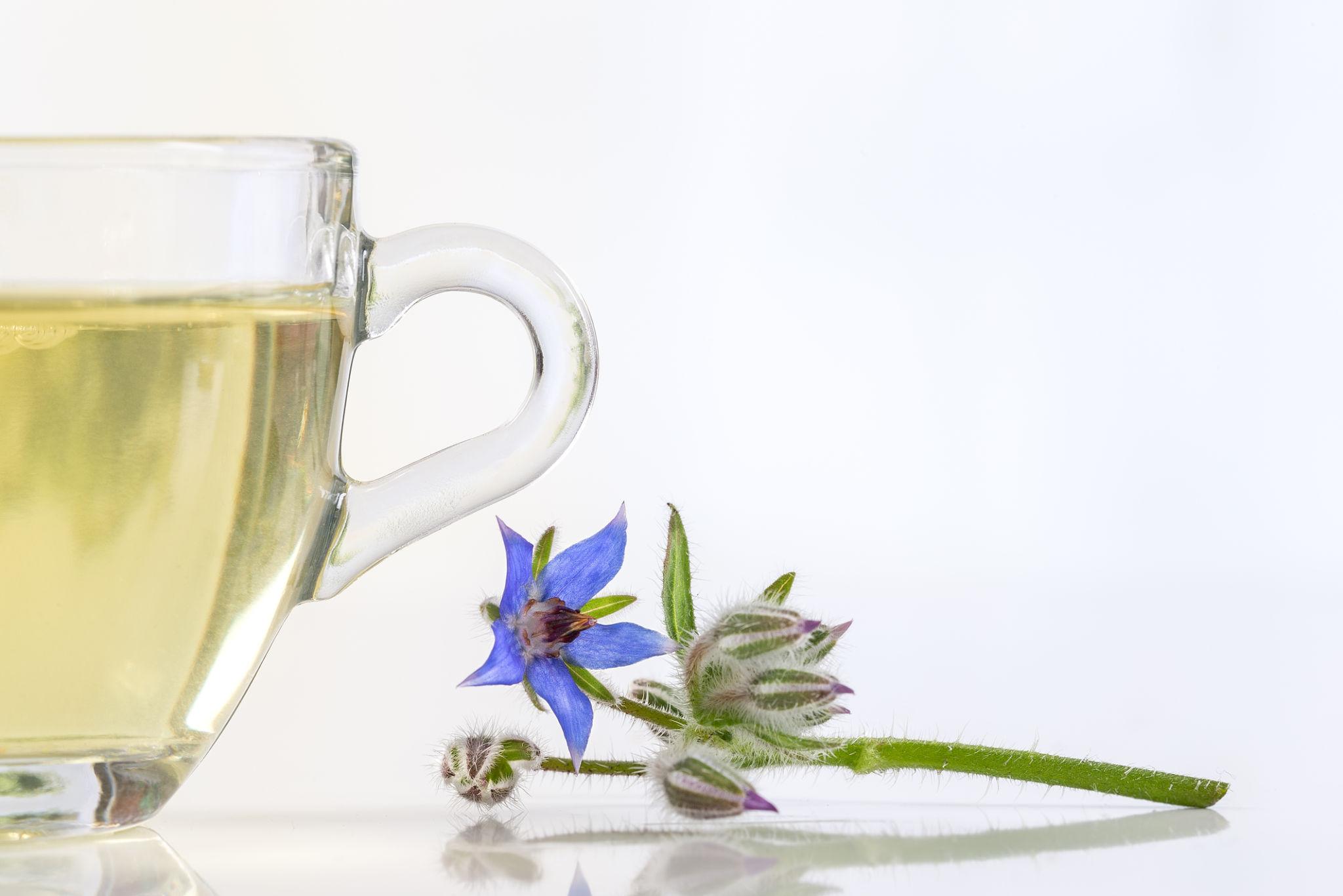 چای گل گاوزبان